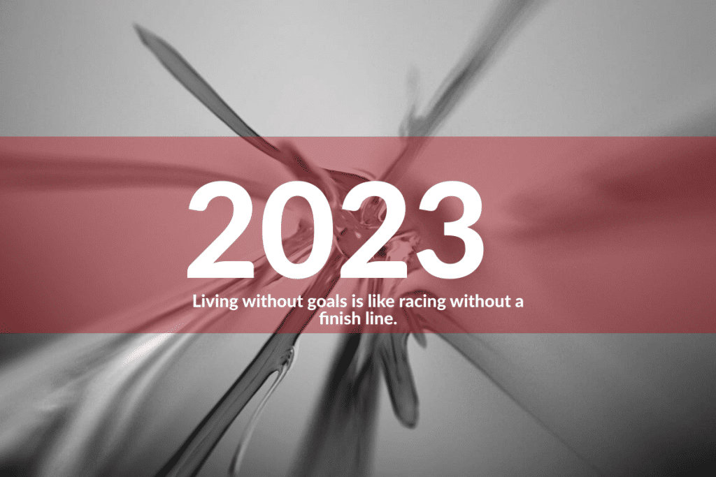 2023 goals