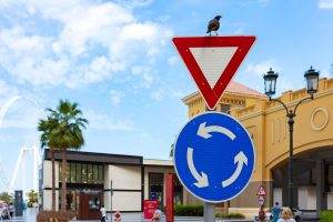 A bird perches on a yield sign above a roundabout sign in a sunny, urban setting with palm trees and buildings in the background.