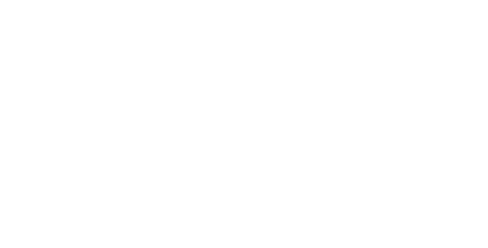 Esterhuizen Coaching and Consulting logo in white with a star and the tagline "connecting people to purpose.
