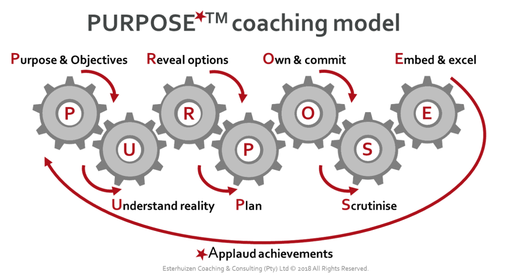 Diagram of the ECCSA coaching model with gears labeled: purpose, reveal, own, embed, understand, plan, scrutinise, applaud.