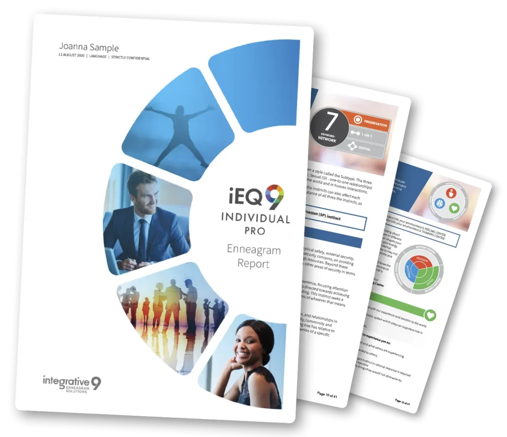 IEQ9 Professional Individual Report cover showing Enneagram sections and sample pages with charts and text.