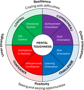 MTQ+ mental toughness diagram with sections on control, commitment, confidence, and challenge, highlighting key traits.